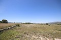 Gran Casa de Campo con negocio de mármol y plantación de uva in Spanish Fincas