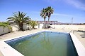 Gran Casa de Campo con negocio de mármol y plantación de uva in Spanish Fincas