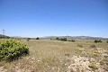 Grande maison de campagne avec commerce de marbre et plantation de raisin in Spanish Fincas