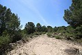 Grande maison de campagne avec commerce de marbre et plantation de raisin in Spanish Fincas