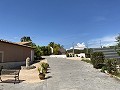 Gran Casa de Campo con negocio de mármol y plantación de uva in Spanish Fincas