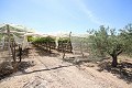 Gran Casa de Campo con negocio de mármol y plantación de uva in Spanish Fincas