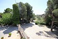 Gran Casa de Campo con negocio de mármol y plantación de uva in Spanish Fincas