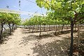 Großes Landhaus mit Marmorgeschäft und Weinplantage in Spanish Fincas