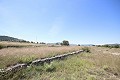 Gran Casa de Campo con negocio de mármol y plantación de uva in Spanish Fincas