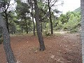 Großes rustikales Haus in einem Nationalpark mit Schieferdach. in Spanish Fincas