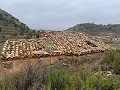 Pakket met ruïnes in La Carche, Jumilla in Spanish Fincas