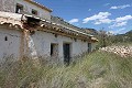 Pakket met ruïnes in La Carche, Jumilla in Spanish Fincas