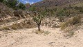 Parcelle avec ruines à La Carche, Jumilla in Spanish Fincas