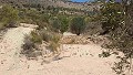 Parcel with ruins in La Carche, Jumilla in Spanish Fincas