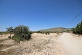 Building plot with water, electricity and trees in Spanish Fincas