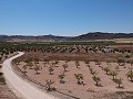 Baugrundstück mit Wasser, Strom und Bäumen in Spanish Fincas