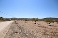 Building plot with water, electricity and trees in Spanish Fincas