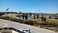 Moderne villa in Los Alcázares, Murcia in Spanish Fincas