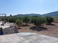 Villa Individuelle avec Piscine Privée in Spanish Fincas