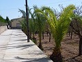 Villa Individuelle avec Piscine Privée in Spanish Fincas