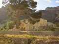 12.441 m2 große Finca in Raiguero de Bonanza, Orihuela in Spanish Fincas