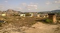 12.441m2 Finca in Raiguero de Bonanza, Orihuela in Spanish Fincas