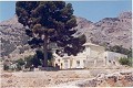 12.441 m2 große Finca in Raiguero de Bonanza, Orihuela in Spanish Fincas