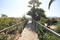 Detached Villa close to town in Caudete in Spanish Fincas