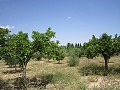 Manoir de 6 chambres à 3 km de Yecla in Spanish Fincas