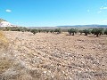 Terrain de 10 500 m2 avec eau courante in Spanish Fincas