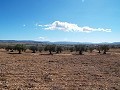 Terrain de 10 500 m2 avec eau courante in Spanish Fincas