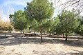 Grande villa individuelle avec piscine proche de la ville à Elda-Petrer in Spanish Fincas