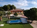 Large Detached Villa with a pool close to town in Elda-Petrer in Spanish Fincas