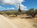 Villa in Caudete in Spanish Fincas