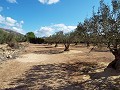 Villa in Caudete in Spanish Fincas