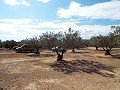 Villa in Caudete in Spanish Fincas