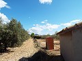 Villa in Caudete in Spanish Fincas