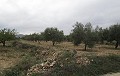 Villa in Caudete in Spanish Fincas