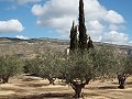 Villa in Caudete in Spanish Fincas