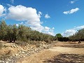 Villa in Caudete in Spanish Fincas