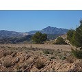 Stunning plot with stunning views in Spanish Fincas