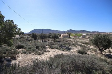 Two building plots in Agost with water and electricity