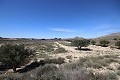 Deux terrains à bâtir à Agost avec eau et électricité in Spanish Fincas