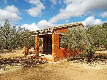 House in Caudete to complete build, Albacete