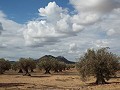 Haus in Caudete zu vervollständigen, Albacete in Spanish Fincas