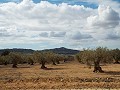 House in Caudete to complete build, Albacete in Spanish Fincas