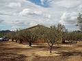 House in Caudete to complete build, Albacete in Spanish Fincas