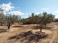 House in Caudete to complete build, Albacete in Spanish Fincas