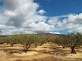 House in Caudete to complete build, Albacete in Spanish Fincas