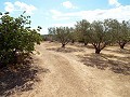 House in Caudete to complete build, Albacete in Spanish Fincas