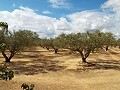 Huis in Caudete om te bouwen, Albacete in Spanish Fincas