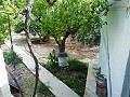 Lovely Villa in Ricabacica, Abanilla + olive grove in Partidor in Spanish Fincas