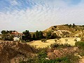 Lovely Villa in Ricabacica, Abanilla + olive grove in Partidor in Spanish Fincas