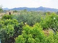 Lovely Villa in Ricabacica, Abanilla + olive grove in Partidor in Spanish Fincas